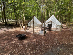 Alpaca Hoogstraten Glamping